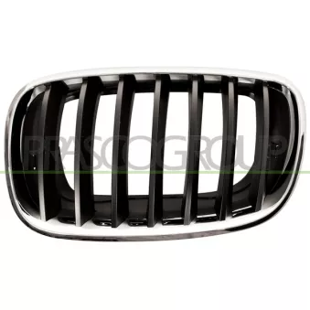 Grille de radiateur PRASCO BM8222004
