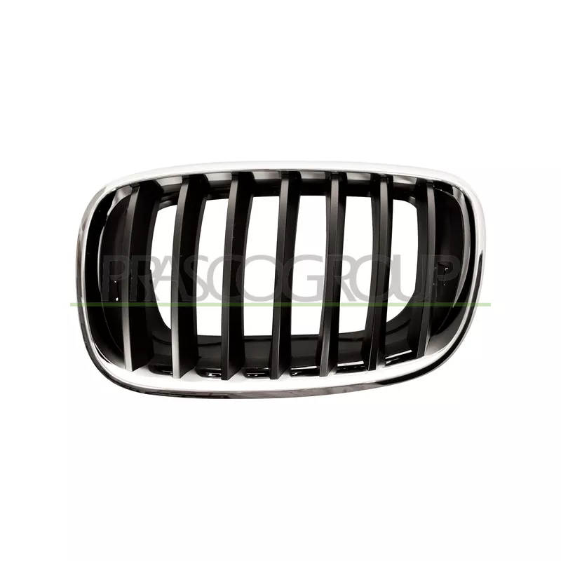 Grille de radiateur PRASCO BM8222004