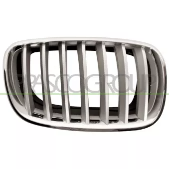 Grille de radiateur PRASCO BM8222013