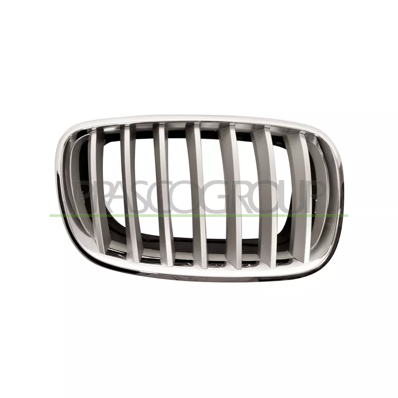 Grille de radiateur PRASCO BM8222013