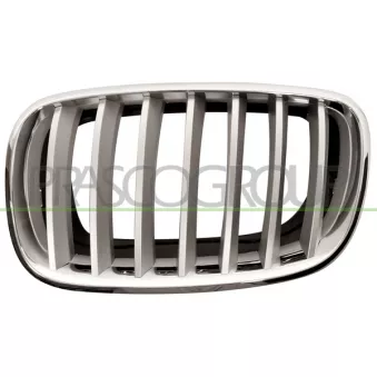 Grille de radiateur PRASCO BM8222014