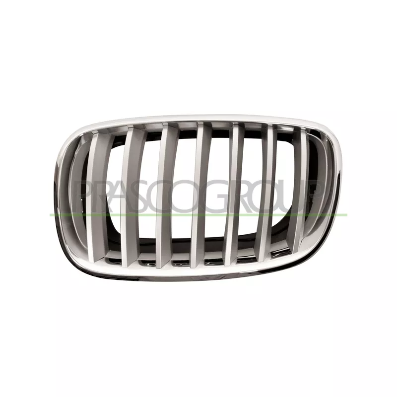 Grille de radiateur PRASCO BM8222014