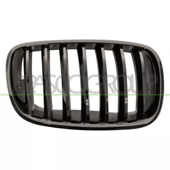 Grille de radiateur PRASCO BM8232003