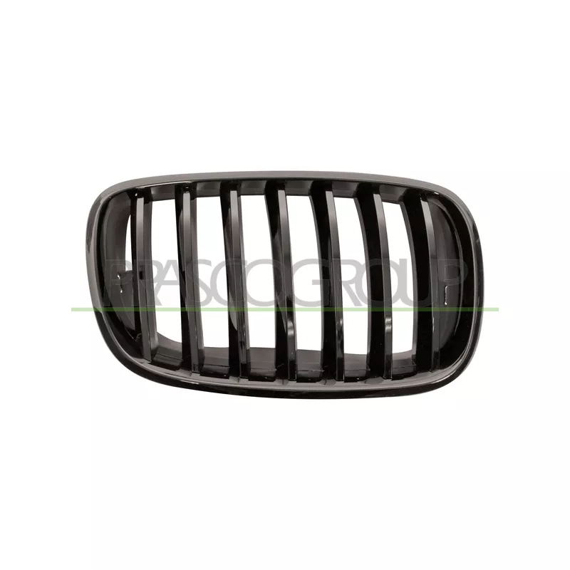 Grille de radiateur PRASCO BM8232003