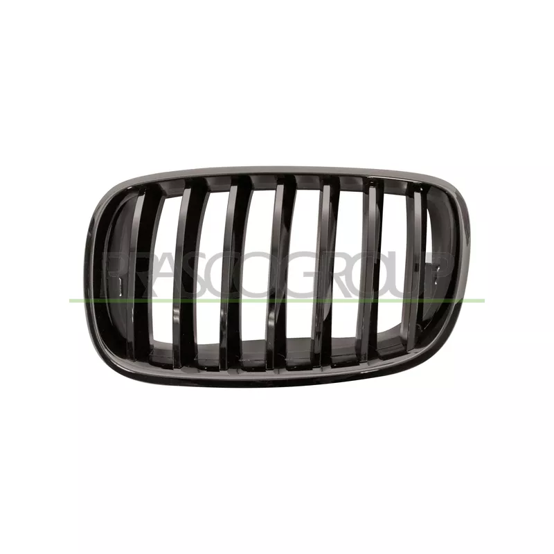 Grille de radiateur PRASCO BM8232004