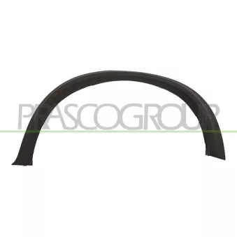 Baguette et bande protectrice, aile arrière gauche PRASCO BM8241584