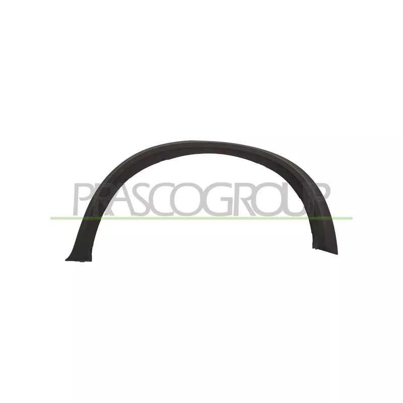 Baguette et bande protectrice, aile arrière gauche PRASCO BM8241584