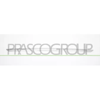 Baguette et bande protectrice, pare-chocs PRASCO BM8261256