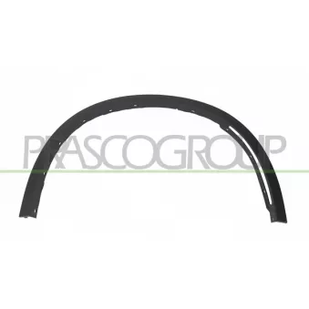 Baguette et bande protectrice, aile avant droit PRASCO BM8261581