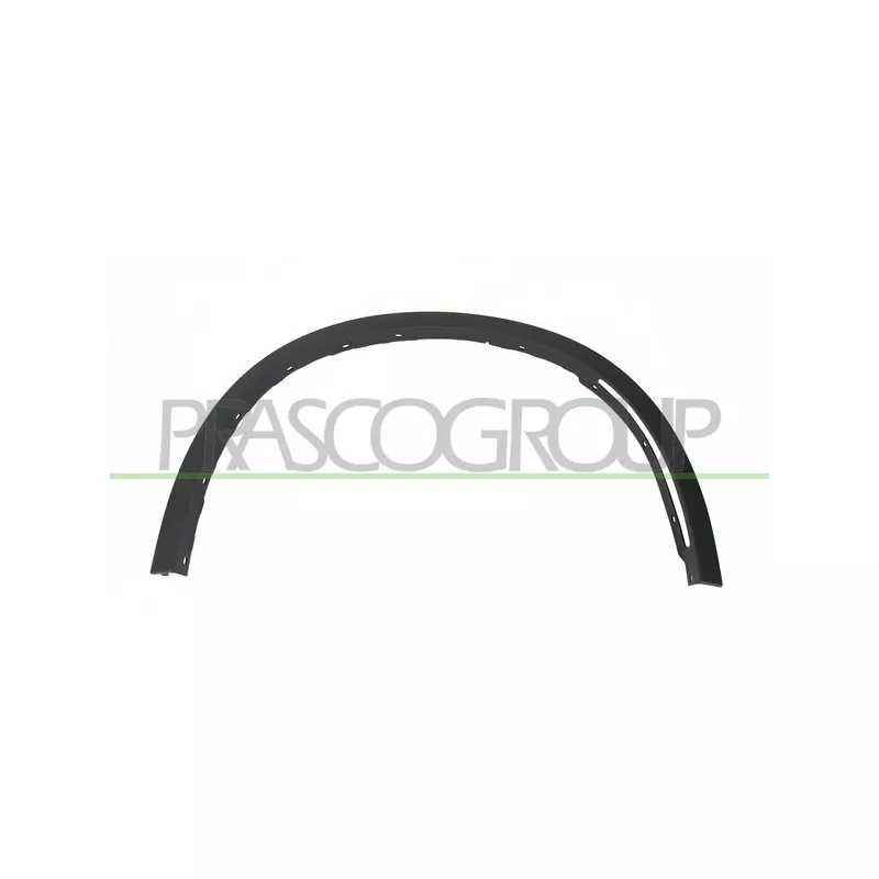 Baguette et bande protectrice, aile avant droit PRASCO BM8261581