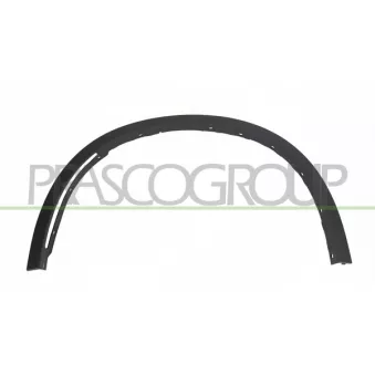 Baguette et bande protectrice, aile avant gauche PRASCO BM8261582