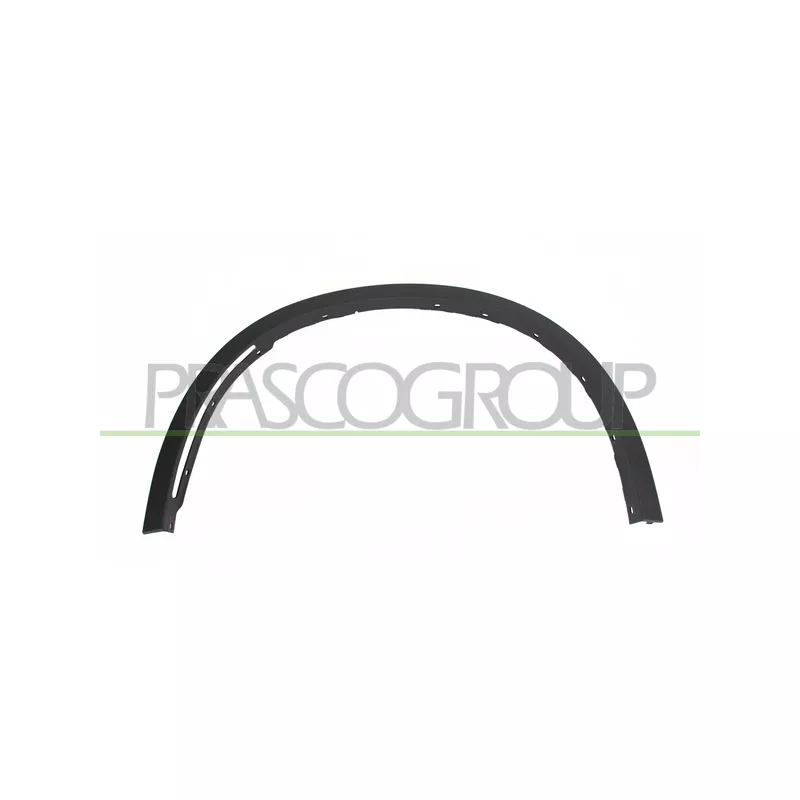 Baguette et bande protectrice, aile avant gauche PRASCO BM8261582