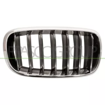 Grille de radiateur PRASCO BM8262003