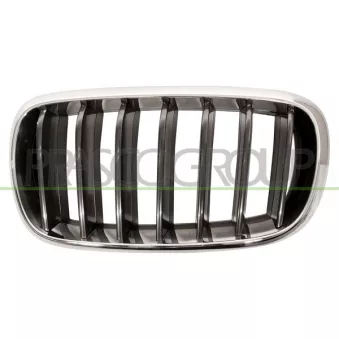 Grille de radiateur PRASCO BM8262004