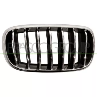 Grille de radiateur PRASCO BM8262013