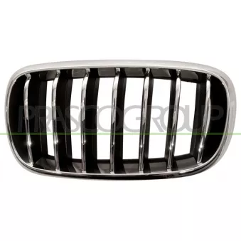 Grille de radiateur PRASCO BM8262014