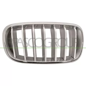 Grille de radiateur PRASCO BM8262023