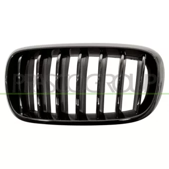 Grille de radiateur PRASCO BM8272004