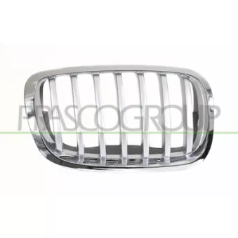 Grille de radiateur avant droit PRASCO BM8402033