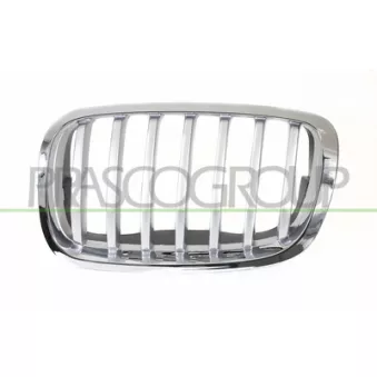 Grille de radiateur avant gauche PRASCO BM8402034