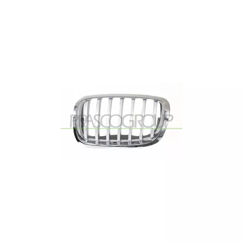 Grille de radiateur avant gauche PRASCO BM8402034