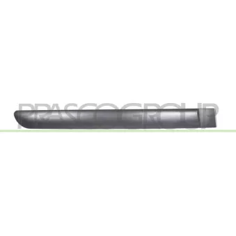 Baguette et bande protectrice, porte arrière droit PRASCO CI3221451