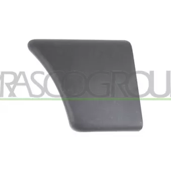 Baguette et bande protectrice, porte avant gauche PRASCO CI9151402