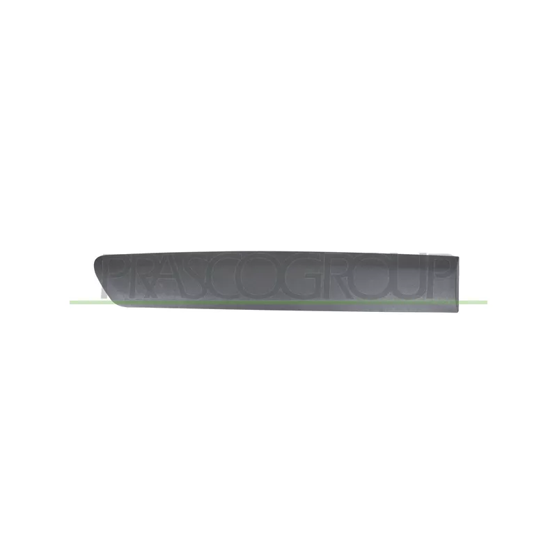 Baguette et bande protectrice, porte arrière droit PRASCO CI9181453