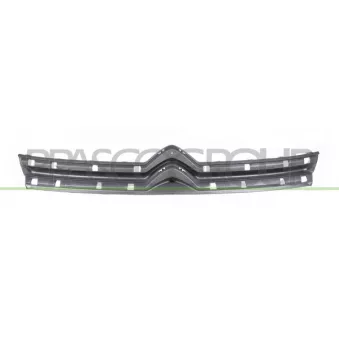 Grille de radiateur PRASCO CI9442001