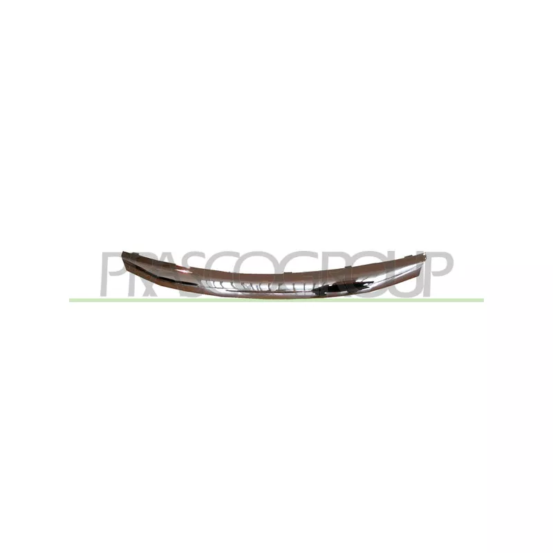 Baguette et bande protectrice, grille de radiateur PRASCO DA2202206