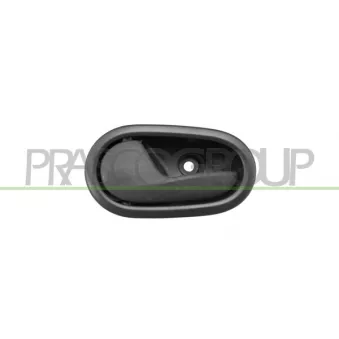 Poignet de porte, équipment intérieur avant gauche PRASCO DA2248402