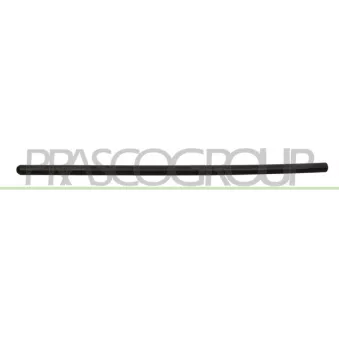 Baguette et bande protectrice, porte PRASCO