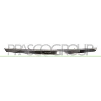 Baguette et bande protectrice, grille de radiateur PRASCO DA3202206