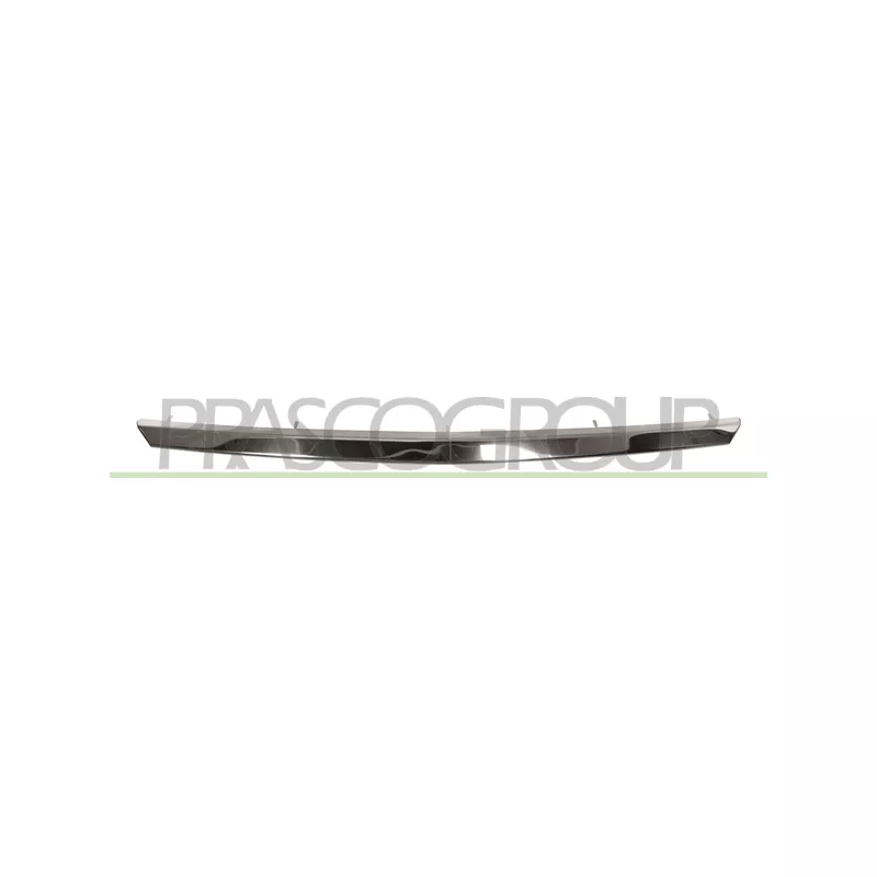 Baguette et bande protectrice, grille de radiateur PRASCO DA3202206
