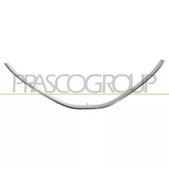 Grille de radiateur PRASCO DA3202207
