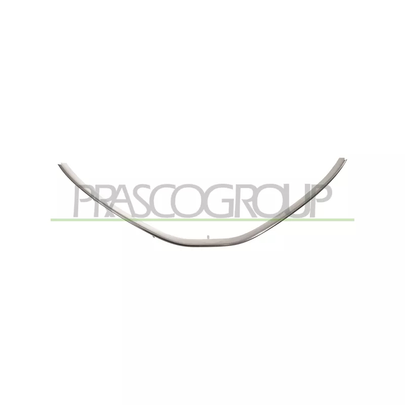 Grille de radiateur PRASCO DA3202207