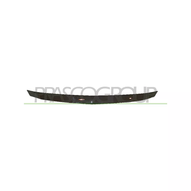 Baguette et bande protectrice, grille de radiateur PRASCO DA3222206