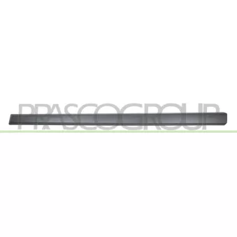 Baguette et bande protectrice, porte avant droit PRASCO DA3241413