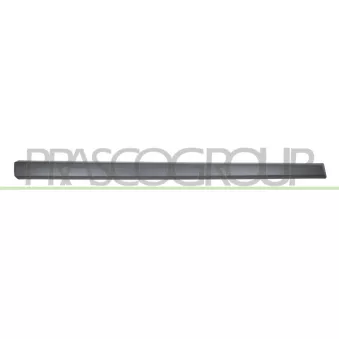 Baguette et bande protectrice, porte avant gauche PRASCO DA3241414