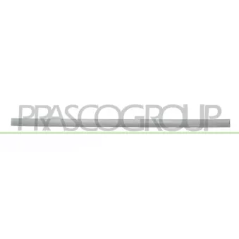 Baguette et bande protectrice, porte avant droit PRASCO DA3241423