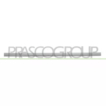Baguette et bande protectrice, porte avant gauche PRASCO DA3241424