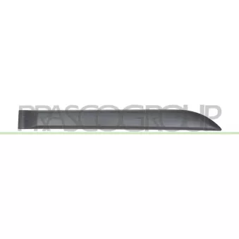 Baguette et bande protectrice, porte arrière droit PRASCO DA3241453