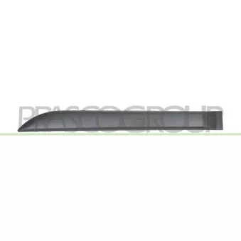 Baguette et bande protectrice, porte arrière gauche PRASCO DA3241454