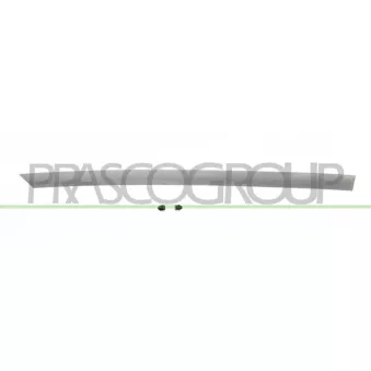 Baguette et bande protectrice, porte arrière droit PRASCO DA3241463