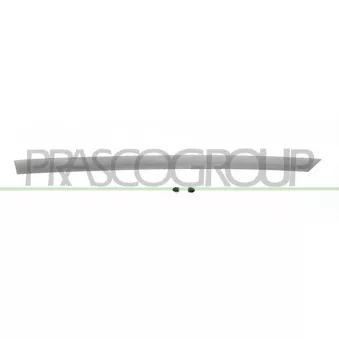 Baguette et bande protectrice, porte arrière gauche PRASCO DA3241464