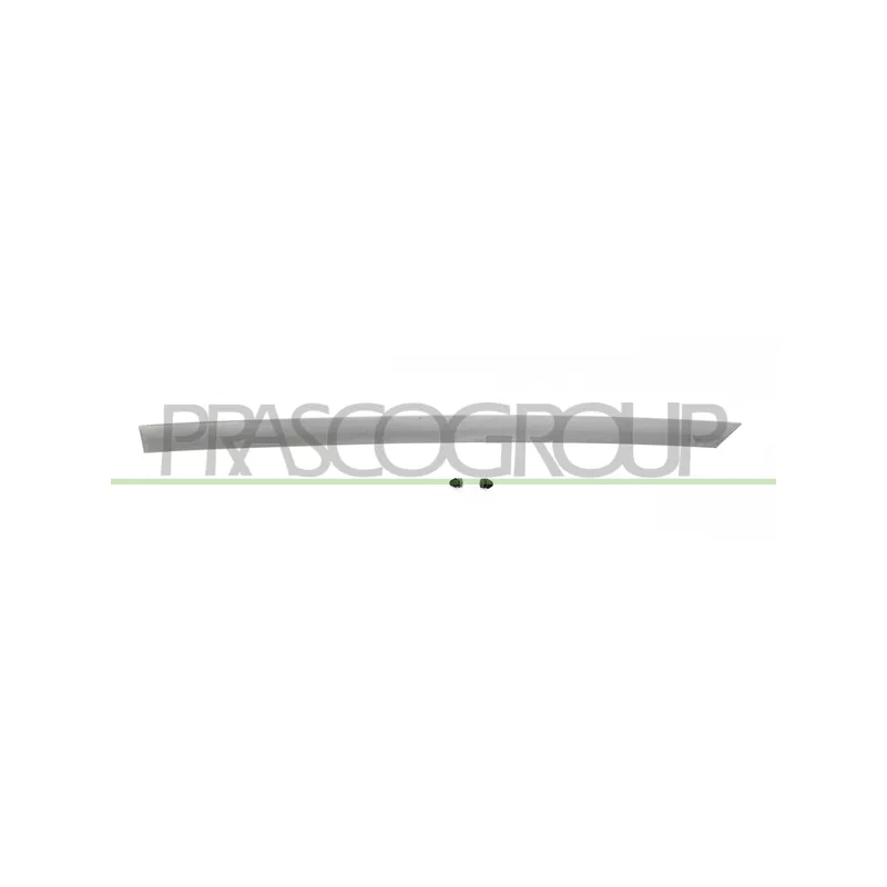 Baguette et bande protectrice, porte arrière gauche PRASCO DA3241464