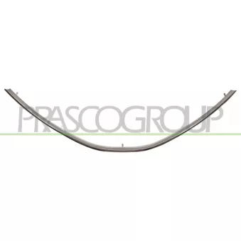 Grille de radiateur PRASCO DA4182226
