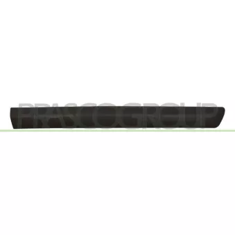 Baguette et bande protectrice, porte avant droit PRASCO