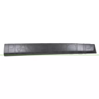 Baguette et bande protectrice, porte avant gauche PRASCO DA7301404