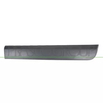 Baguette et bande protectrice, porte arrière gauche PRASCO DA7301454